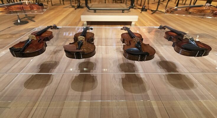 A photo of instruments in the Violins of Hope project.